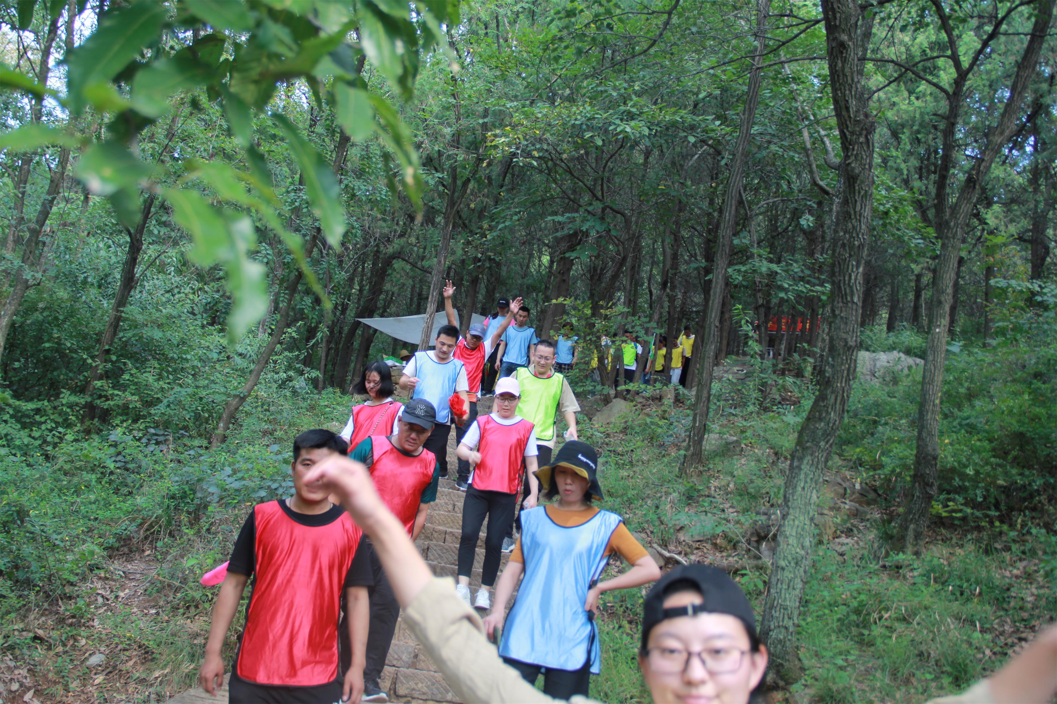 1599702416769192.jpg 1599702416769192.jpg